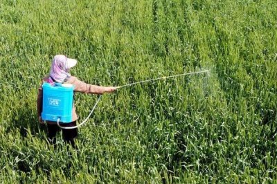 植物防凍劑的作用，主要作用是激活生物酶、殺滅冰核細(xì)菌生成和繁殖