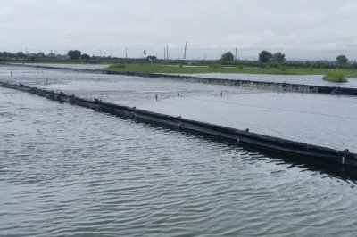 室內(nèi)水產(chǎn)養(yǎng)殖項目，好養(yǎng)又賺錢