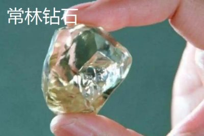 山東省臨沭縣的特產(chǎn)，臨沐太子參在東南亞市場享有盛譽(yù)
