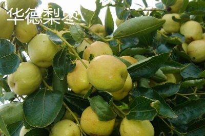 山西晉中市的特產(chǎn)，是國家級文化生態(tài)保護(hù)實驗區(qū)