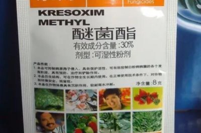 嘧菌酯的用途，可防治白粉病、銹病、網斑病等