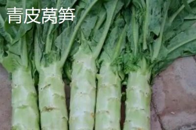 萵筍的產(chǎn)地，在我國(guó)主產(chǎn)于山東、河南、河北等省份