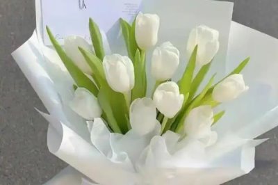 郁金香的花語是什么，寓意無盡的愛、清高戀情等