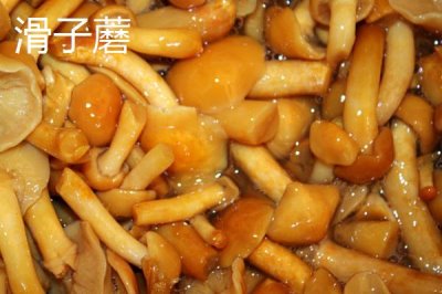 黑龍江佳木斯市的特產(chǎn)，包括力佳風(fēng)干腸、抱馬子茶葉筒等種類