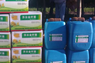 殺蟲(chóng)劑能殺死螨蟲(chóng)嗎，能殺死螨蟲(chóng)