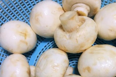 口蘑的產(chǎn)地，呼倫貝爾市等地方為主要產(chǎn)區(qū)