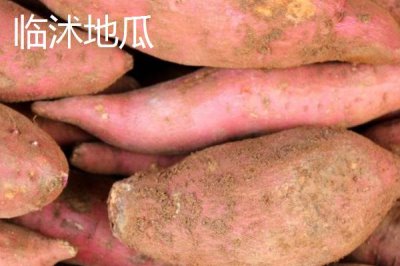 山東省臨沭縣的特產(chǎn)，臨沐太子參在東南亞市場享有盛譽(yù)