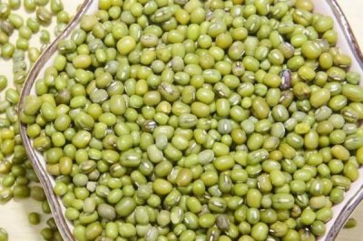 綠豆的形態(tài)特征，豆莢呈線狀圓柱形、種子呈短圓柱形