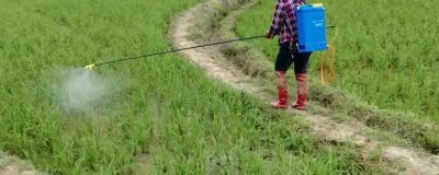 除草劑打過(guò)之后多久下雨沒(méi)事，4個(gè)小時(shí)后小雨沒(méi)事
