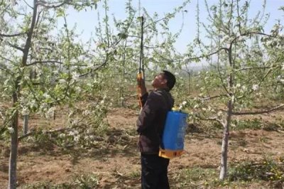 生物農藥的簡介，是指利用生物活體或代謝產物去殺滅、抑制有害生物的制劑