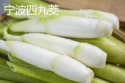 種植茭白的環(huán)境要求，溫度要達到24℃左右
