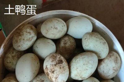 土鴨蛋的價格，各地價格不同