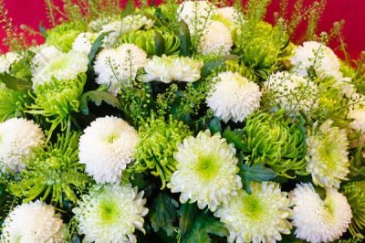 綠菊花的花語，寓意純凈高雅、生機(jī)活力等