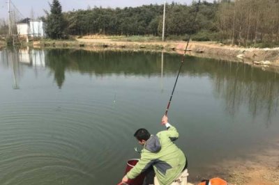 黑坑釣鱘魚技巧，最好使用跑鉛