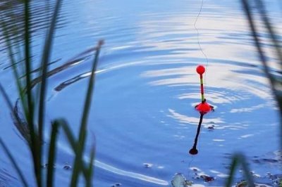 調(diào)漂是什么，釣魚最基礎的環(huán)節(jié)