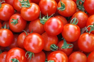 雜佛鱷龜喜歡吃什么，肉食性食物、蔬果都可以