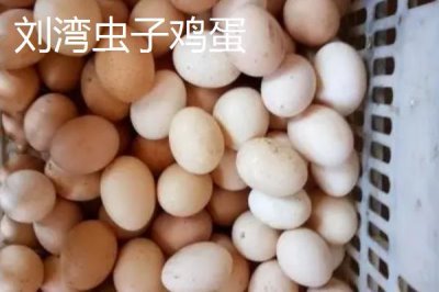 我國(guó)雞蛋產(chǎn)地，主要集中在華東、華北以及東北等地區(qū)