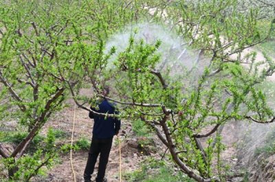 生物農藥的簡介，是指利用生物活體或代謝產物去殺滅、抑制有害生物的制劑