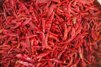 印度椒的分類，可以分為S17、S12和S4三類