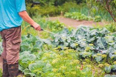 生物農藥的簡介，是指利用生物活體或代謝產物去殺滅、抑制有害生物的制劑