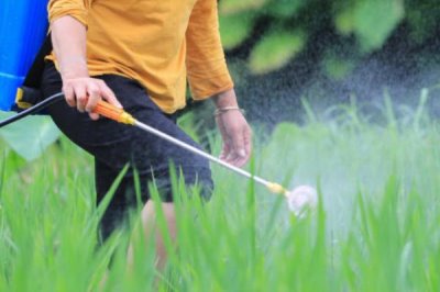 魚蛋白肥料的使用方法，可葉面噴施也可沖施等