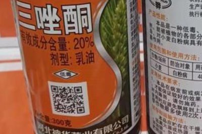 三唑酮的適用作物，基本所有農作物和果樹均適用