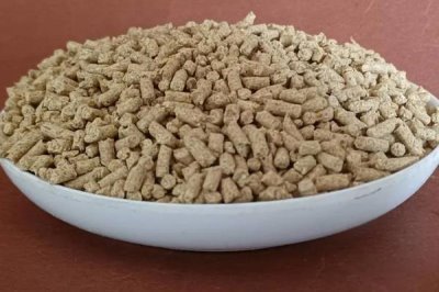 雛雞的飼料價(jià)格，通常在2500左右一噸