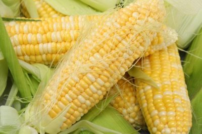 水果玉米的產(chǎn)地，可以直接生吃