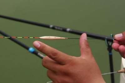 調(diào)漂是什么，釣魚最基礎的環(huán)節(jié)