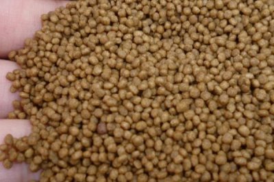 烏龜飼料是否要泡在水中，需要泡水、這樣更容易消化