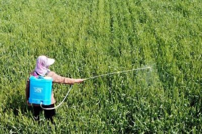 木霉菌有什么作用，能對抗和控制植物病原、病毒