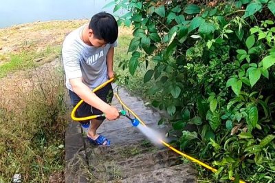 代森銨主治哪些病害，可有效防治水稻稻瘟病、玉米斑病等