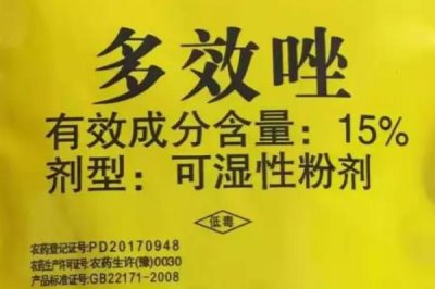 催熟小麥的藥物有哪些，常用的有乙烯利、多效唑和磷酸二氫鉀等