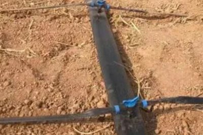 溫室滴灌的好處，可減少濕度降低發(fā)病幾率