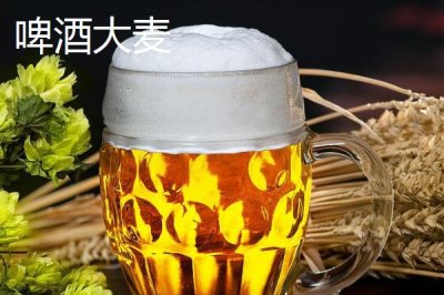 甘肅省民樂縣的特產(chǎn)，產(chǎn)出的蘋果梨具有中國一代梨王的美譽(yù)