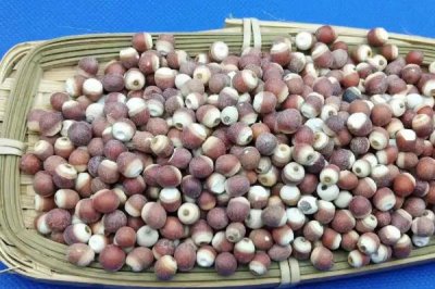 芡實種子的價格，大約在20-30元左右一斤