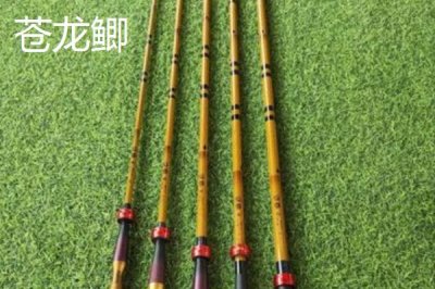 鯽魚竿十大排名，不同品牌有價(jià)格差距