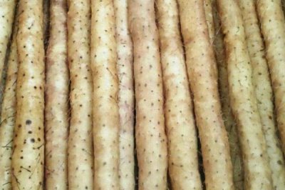 小白嘴白山藥是哪里的特產(chǎn)，屬于河北省深澤縣的特色產(chǎn)品