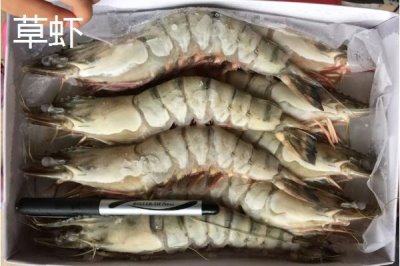 草蝦的產地，在我國分布廣泛