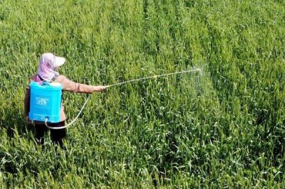 甲維高氯氟的殺蟲原理，原理為阻礙害蟲的運動神經(jīng)信息的傳遞