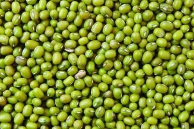 綠豆的形態(tài)特征，豆莢呈線狀圓柱形、種子呈短圓柱形