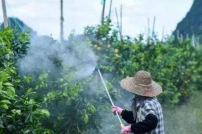 代森錳鋅不能與哪些農(nóng)藥混用，不能和銅制劑和堿性藥劑混用