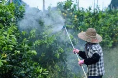 丙環(huán)唑有什么作用和用途，具有保護(hù)和治療作用、可防治多種真菌引發(fā)的病害