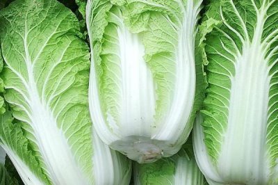 白菜的價格，不同地區(qū)的價格有所差異