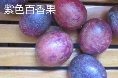 百香果的產(chǎn)地，廣植于熱帶和亞熱帶地區(qū)