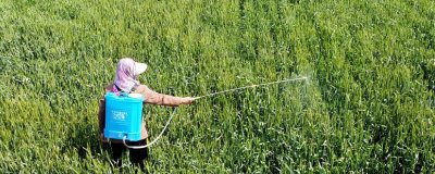 莖葉處理除草劑怎么使用，主要在雜草3-5葉期兌水噴霧