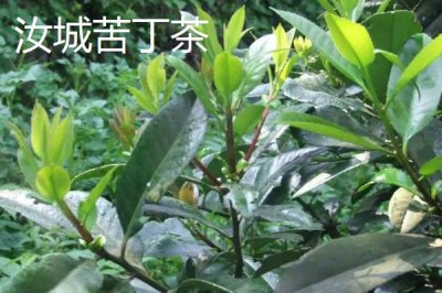 湖南汝城縣的特產(chǎn)，素有“雞鳴三省，水注三江”之美譽(yù)