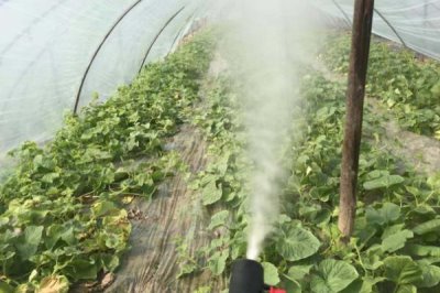 除草劑的作用原理，可破壞激素的平衡和抑制光合效率