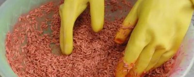 種衣劑的使用注意事項(xiàng)，使用過程中一定要嚴(yán)格執(zhí)行操作規(guī)程
