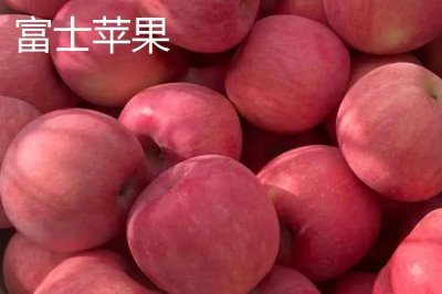 寒富蘋果的產(chǎn)地，主產(chǎn)地在中國北方